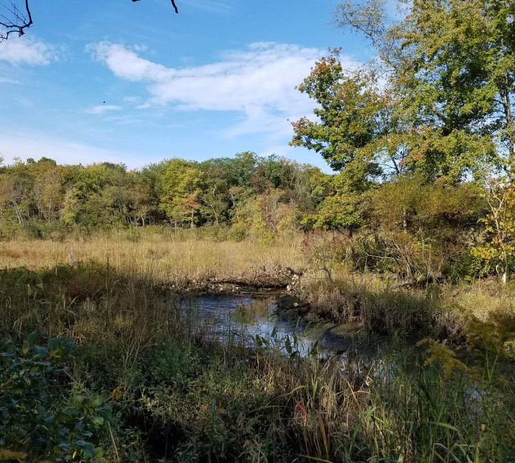 Boundary Creek Natural Resource Area (Moorestown,&nbspNJ)